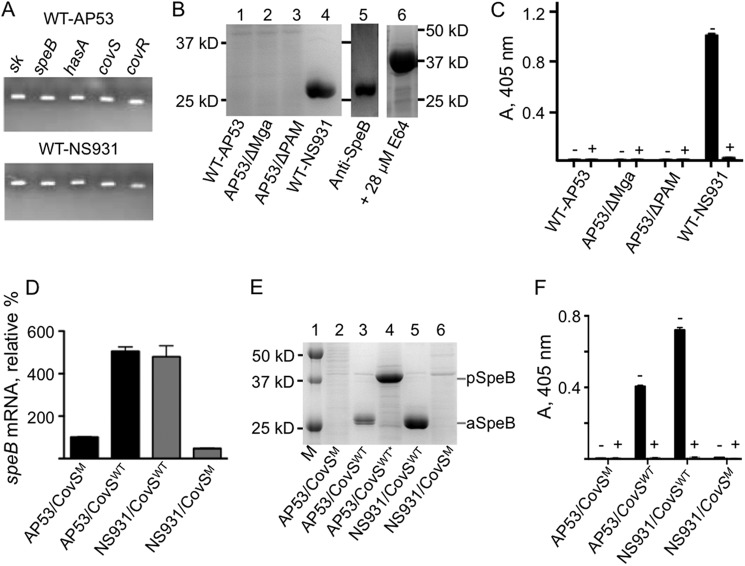 FIGURE 3.