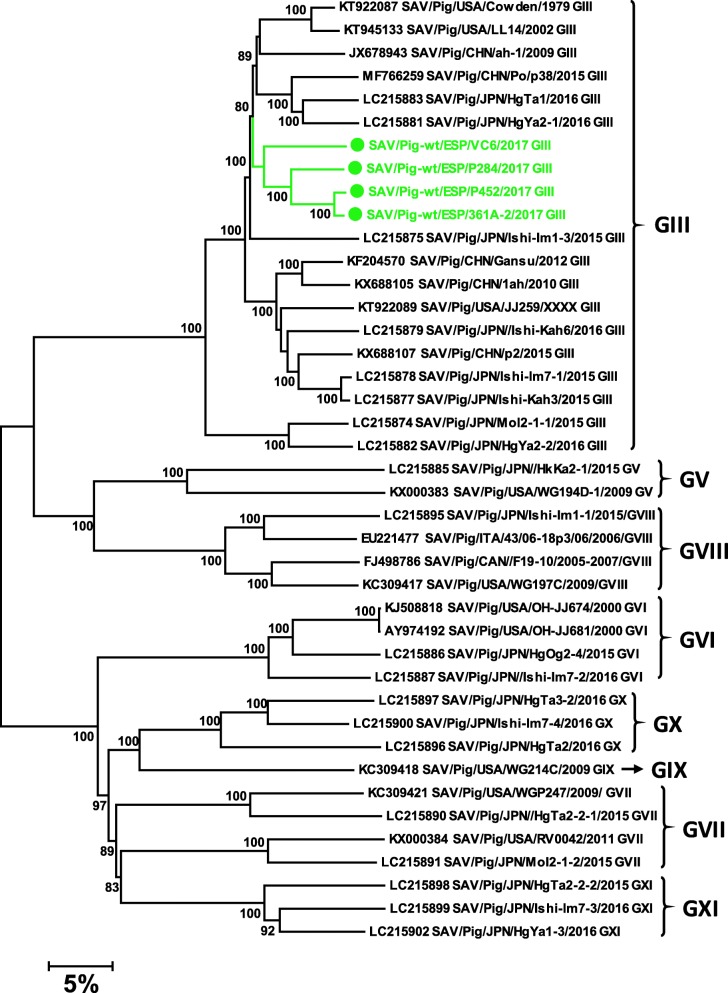 Fig. 7