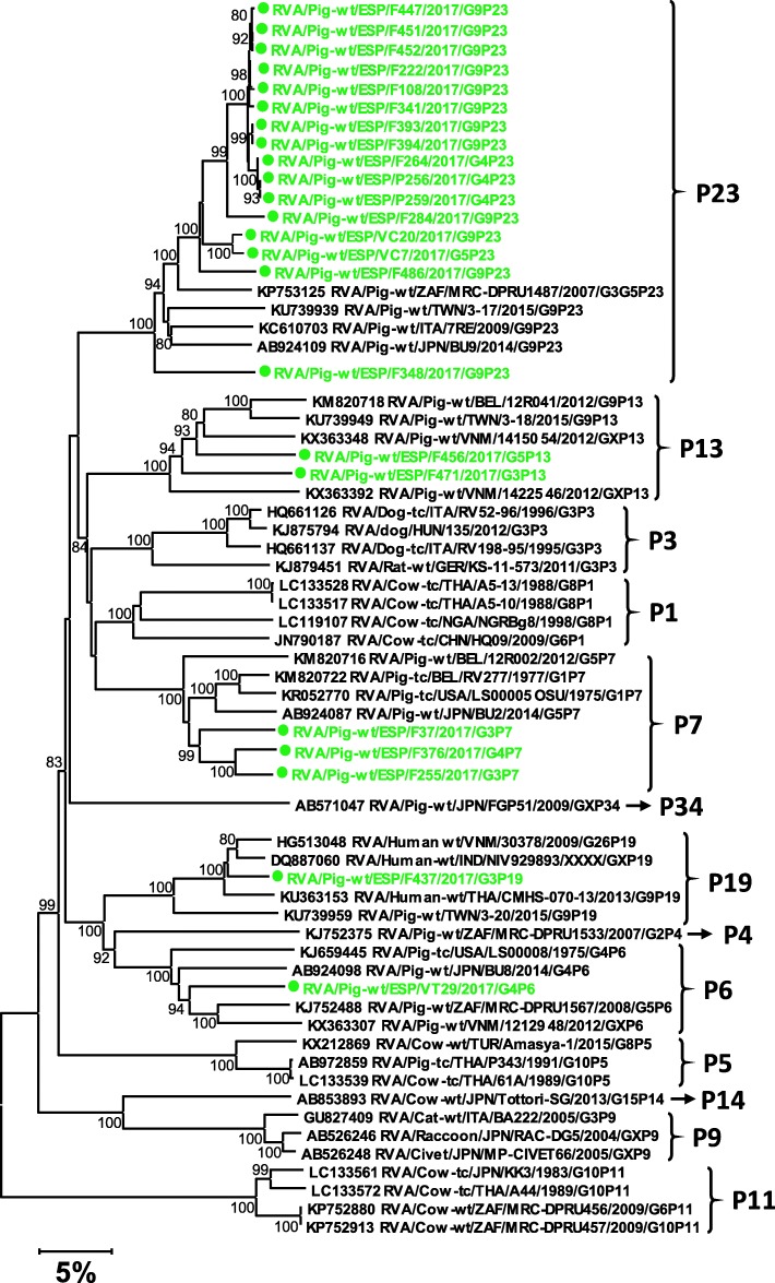 Fig. 4