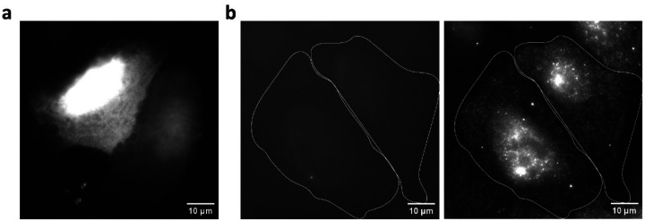 Extended Data Fig. 5: