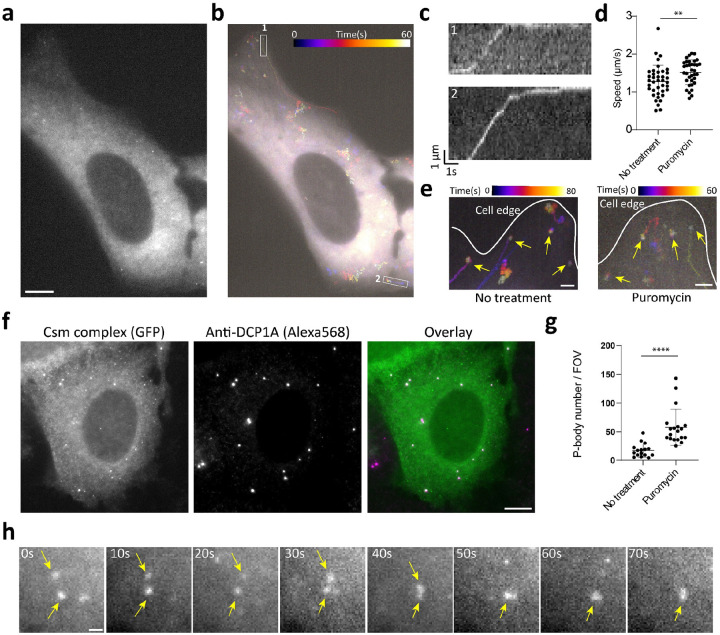 Fig. 4: