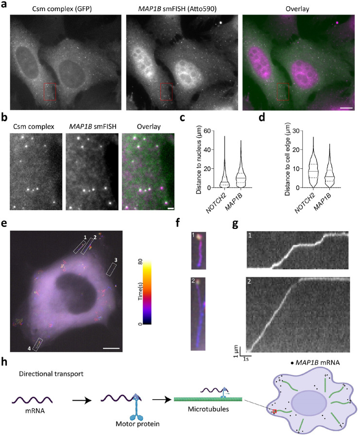 Fig. 3: