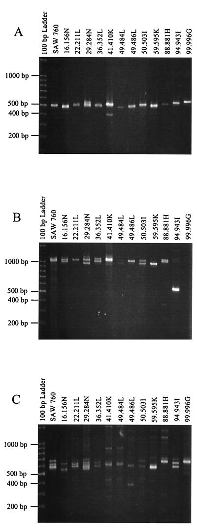 FIG. 2.