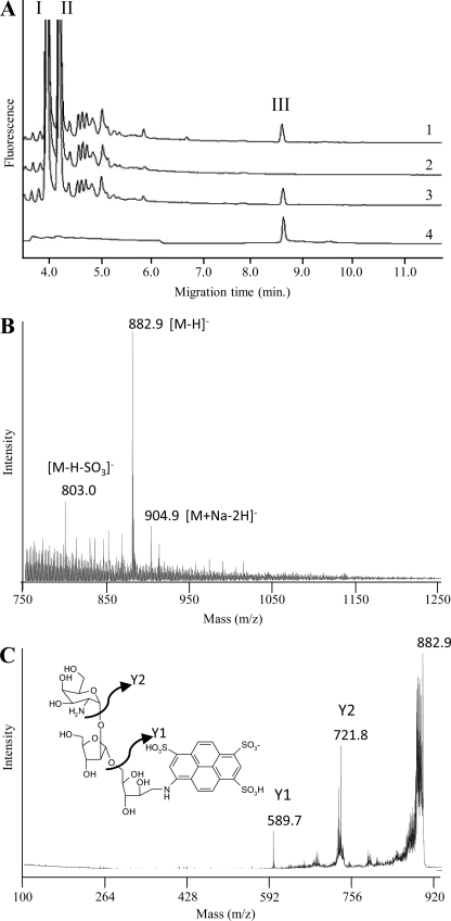 FIGURE 1.