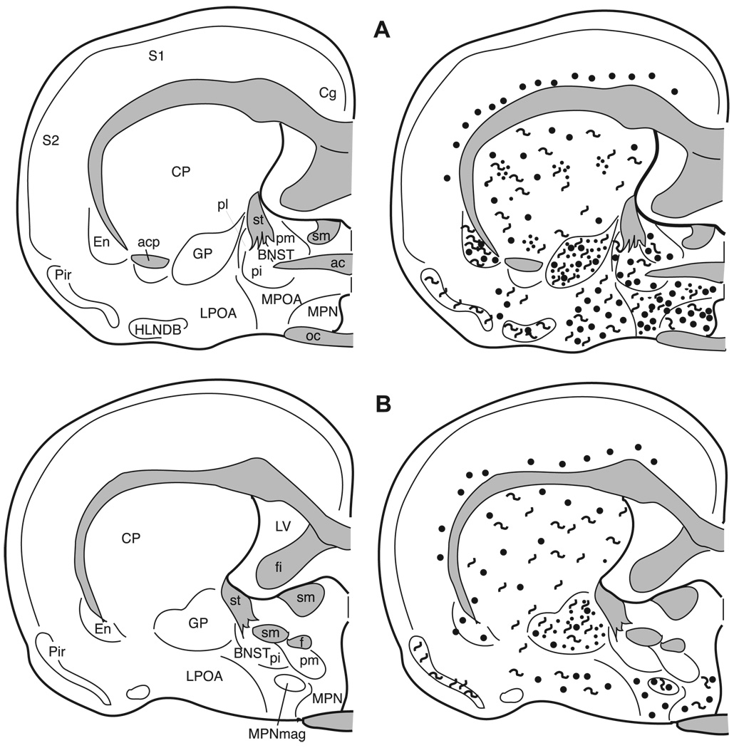 Fig. 10