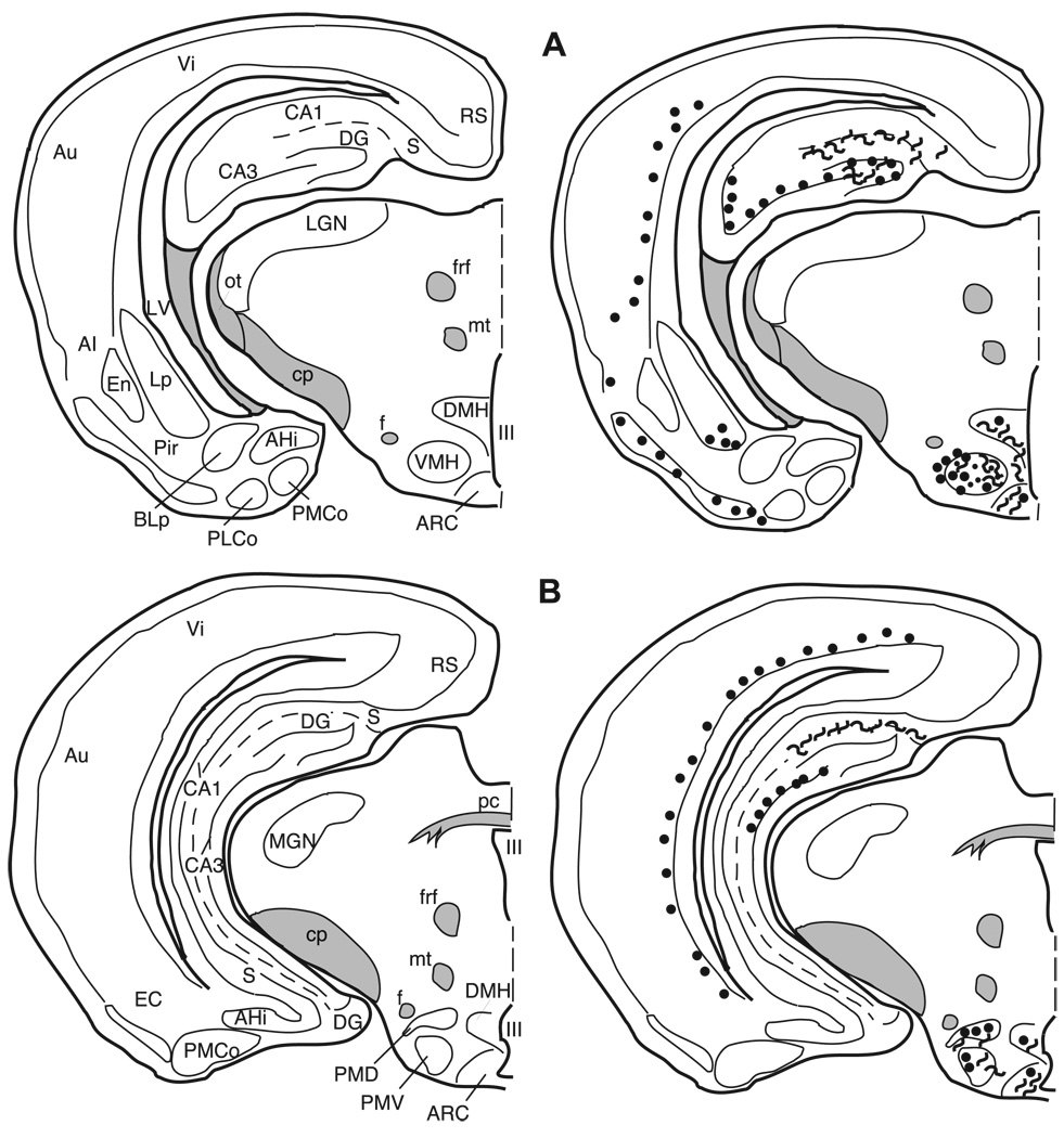 Fig. 13