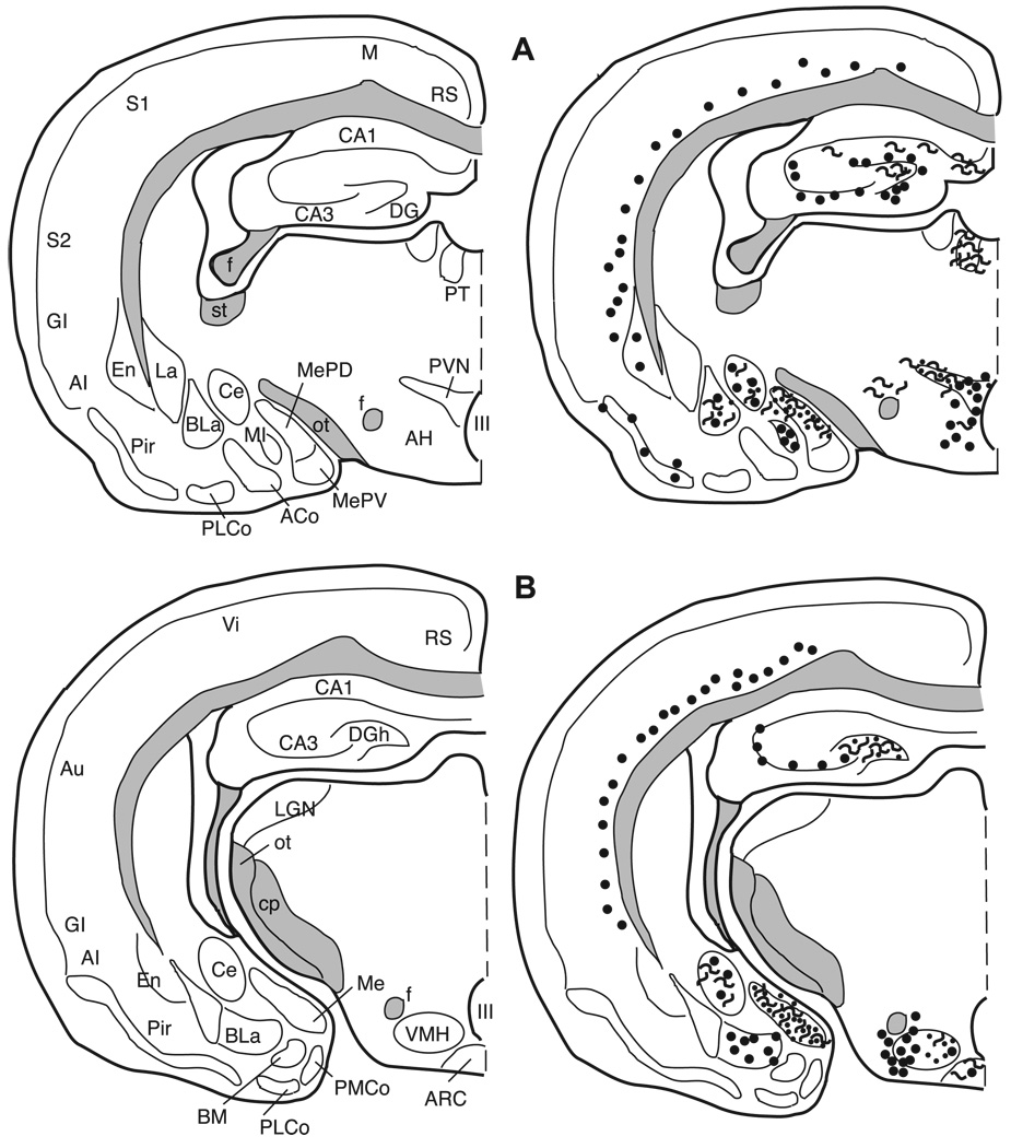 Fig. 12