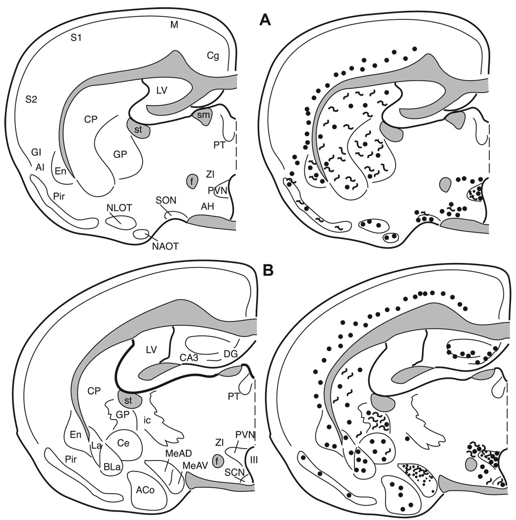 Fig. 11