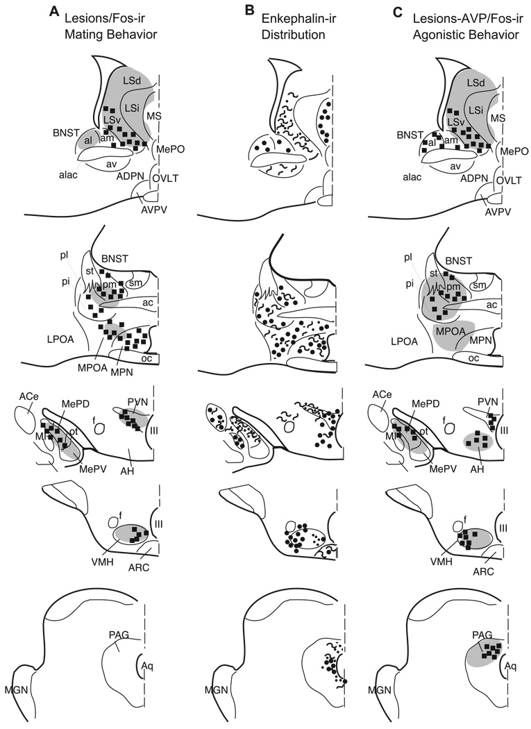 Fig. 15