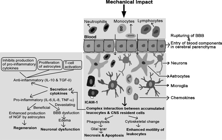 Fig. (3)