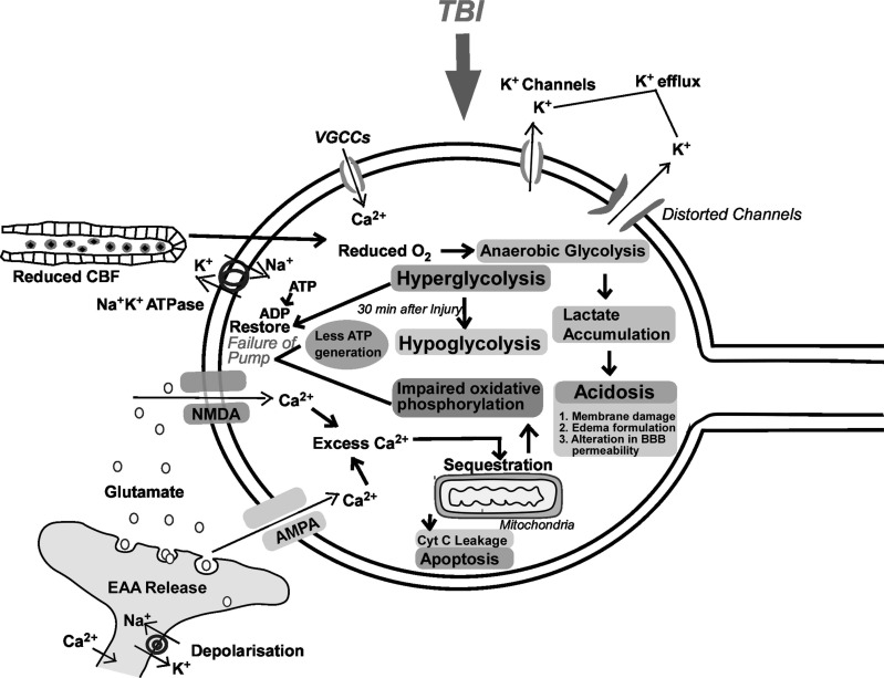 Fig. (5)