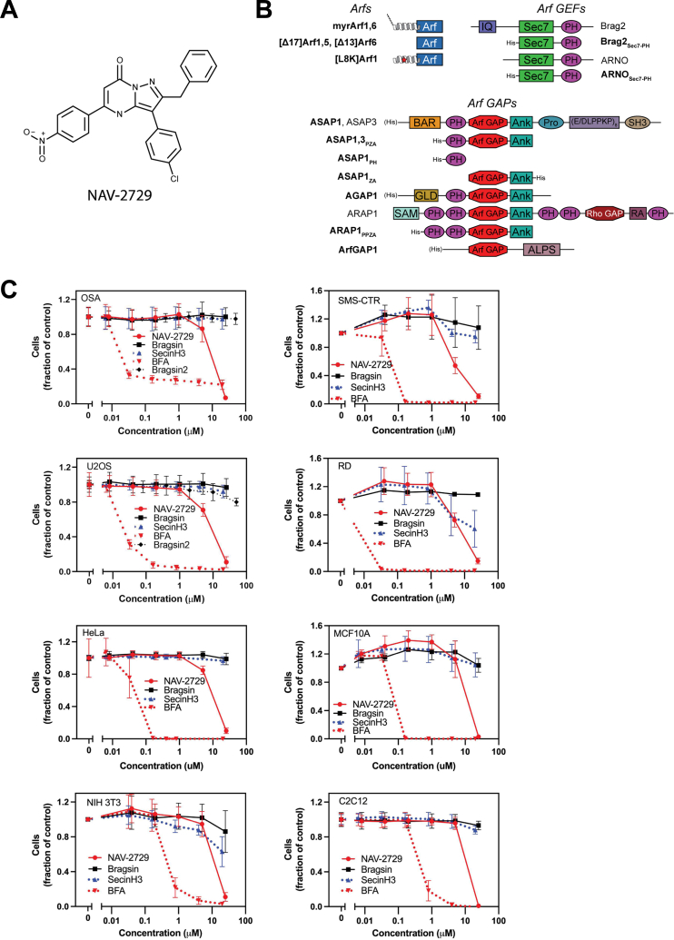 Figure 1