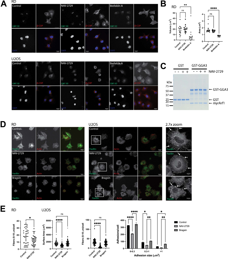 Figure 2