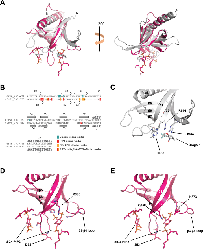 Figure 7