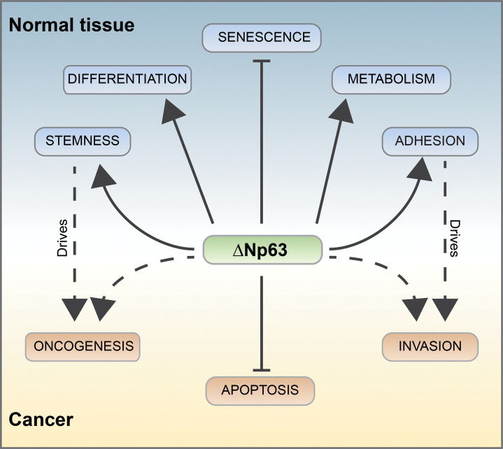 Figure 2.