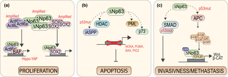 Figure 3.