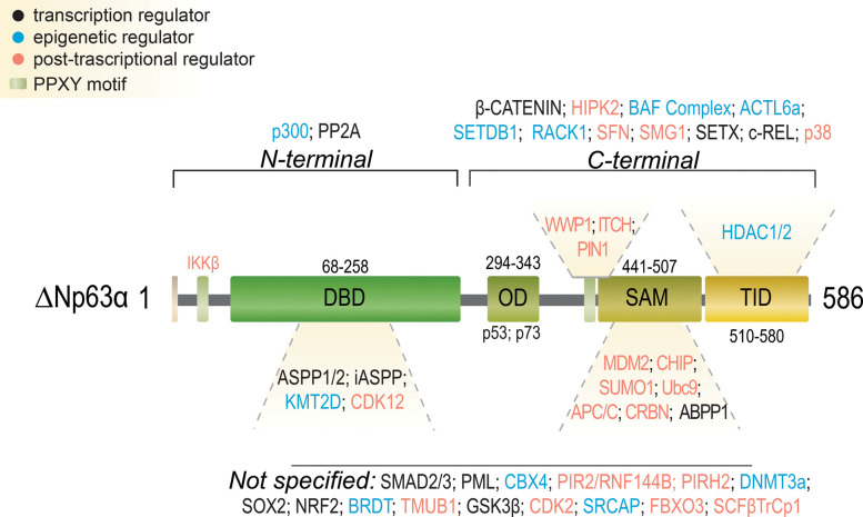 Figure 4.