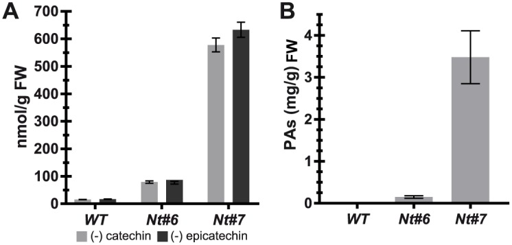 Fig 5