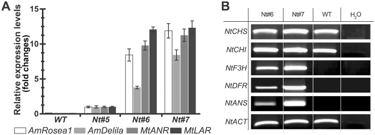 Fig 4