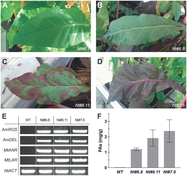 Fig 6