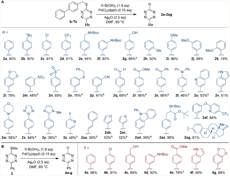 Figure 5: