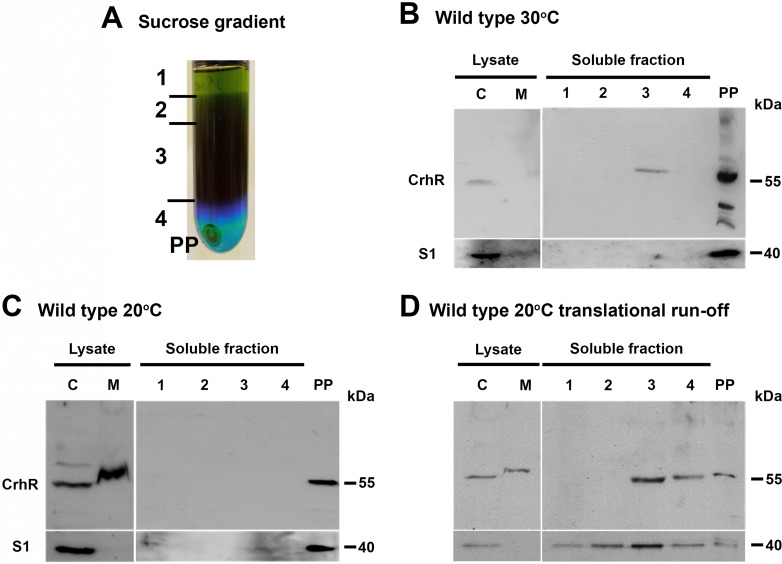 FIG 2