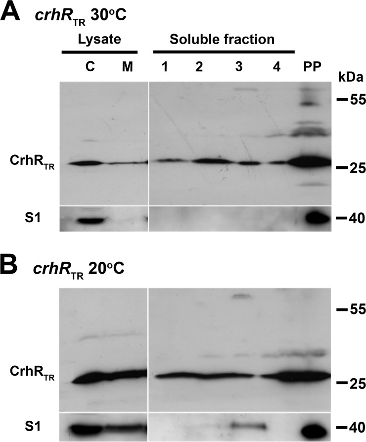 FIG 3