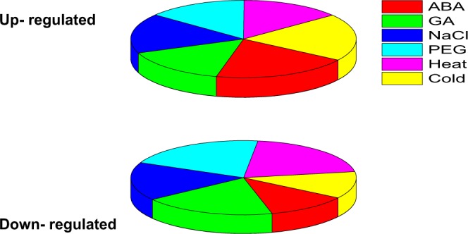 Figure 18