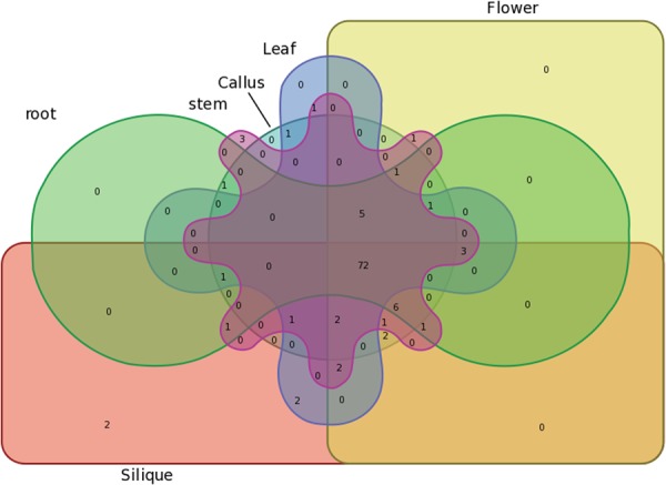 Figure 14