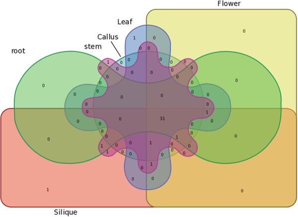 Figure 16