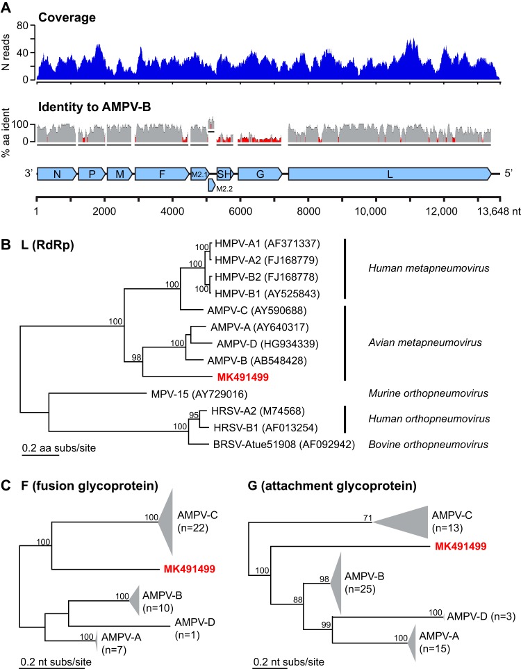 FIG 1