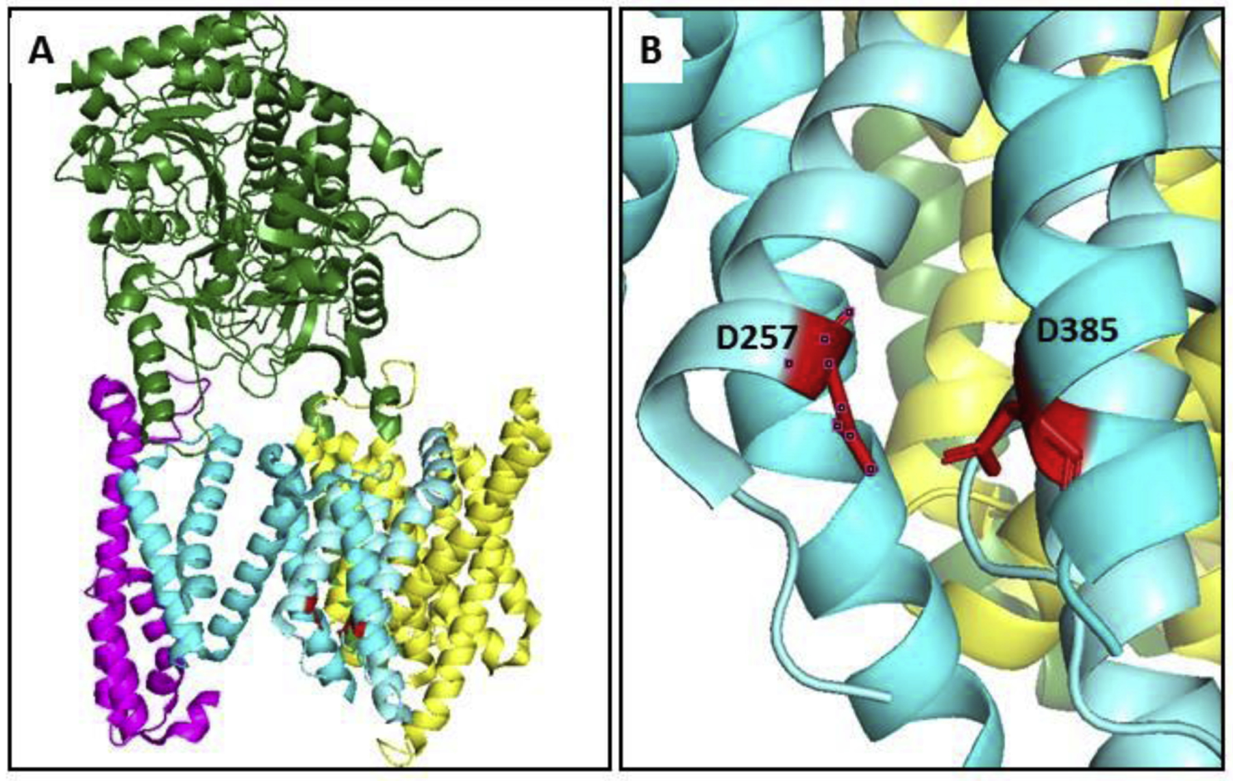 Figure 4.