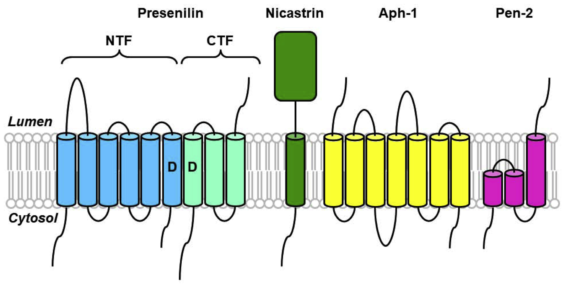 Figure 2.