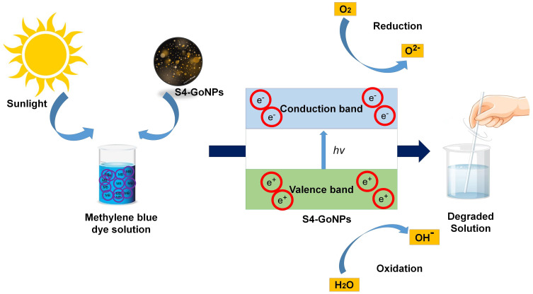 Figure 10