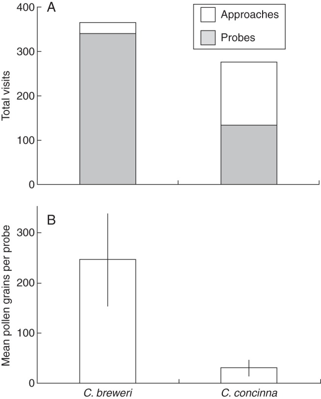 Fig. 9.