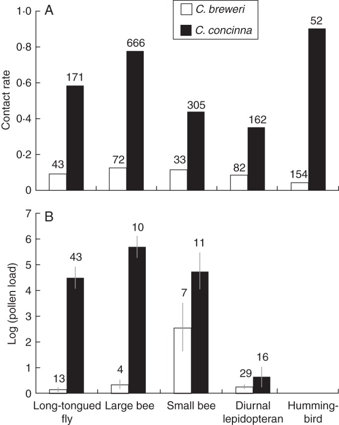 Fig. 8.