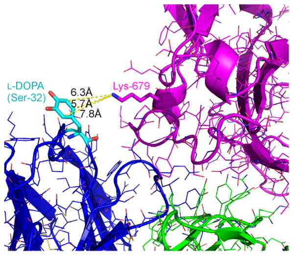 Fig.4