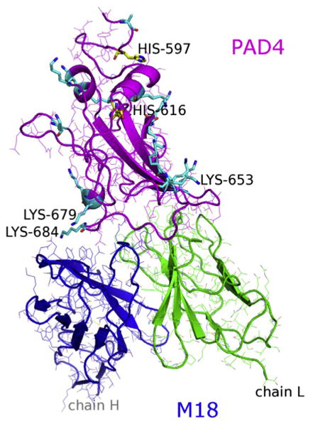 Fig.1