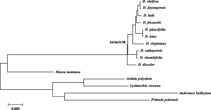 Fig. 4