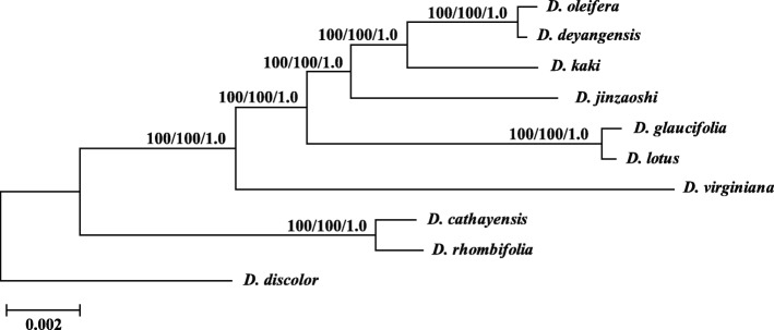 Fig. 6