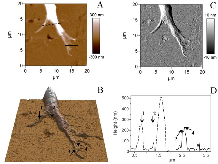 Figure 5