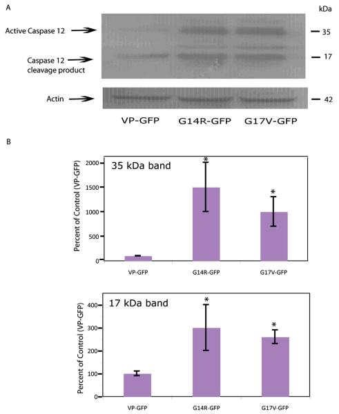 Fig. (6)