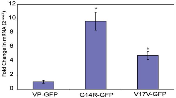 Fig. (7)