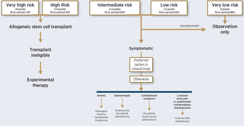 Figure 1. Current treatment algorithm in myelofibrosis based on risk stratification according to the mutation enhanced international prognostic scoring system (MIPSS70+ version 2.0). Genetic risk factors: very high-risk karyotype, 4 points; unfavorable karyotype, 3 points; ≥2 high risk mutations, 3 points; one high risk mutation, 2 points; type 1 CALR absent, 2 points. Clinical risk factors: constitutional symptoms, 2 points; severe anemia, 2 points; moderate anemia, 1 point; ≥2% circulating blasts, 1 point.