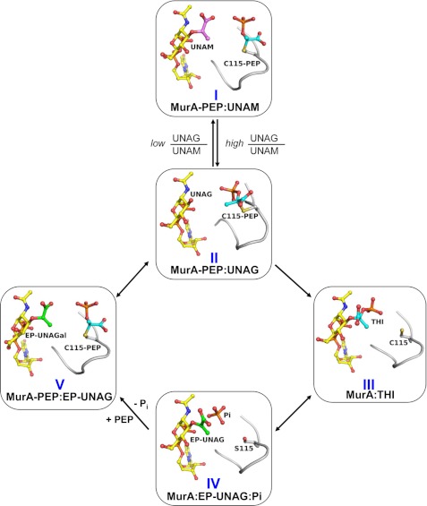 FIGURE 7.