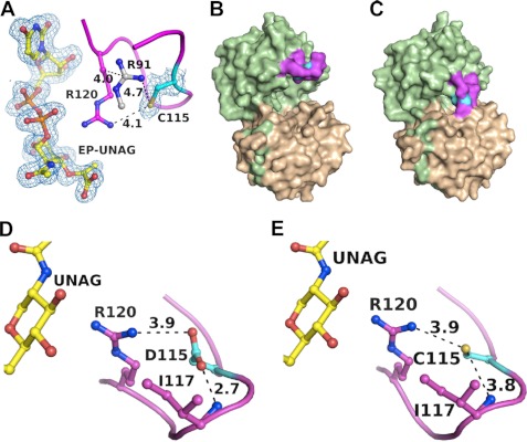 FIGURE 3.