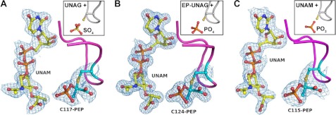 FIGURE 4.