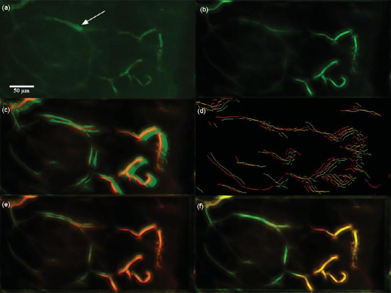 Figure 20