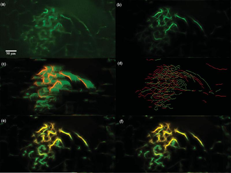 Figure 17