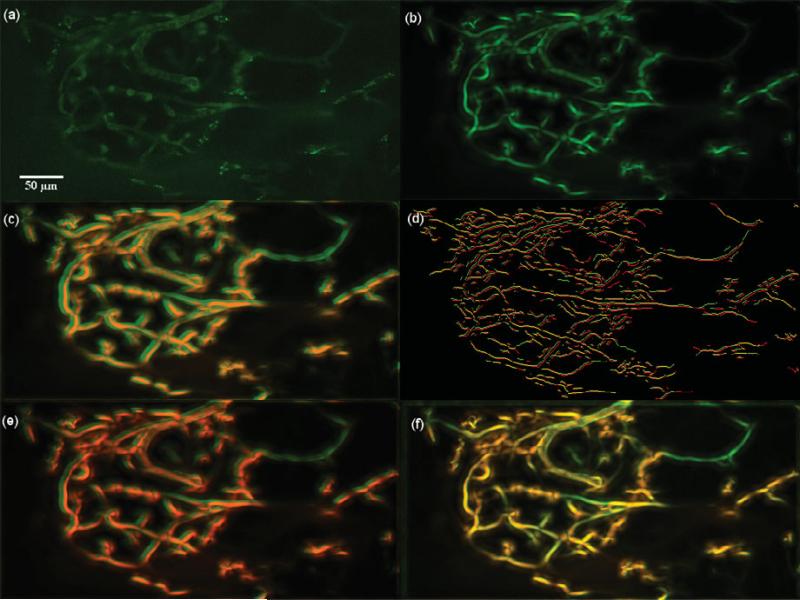 Figure 19